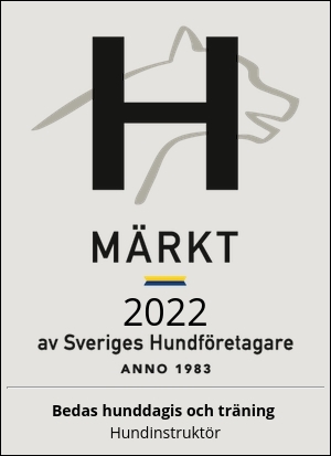 certification Image